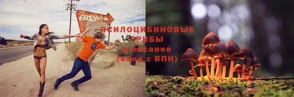 винт Абинск