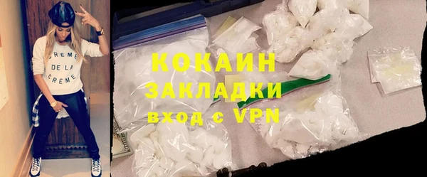 кокс Алексин