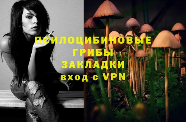 винт Абинск