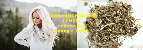 кокс Алексин