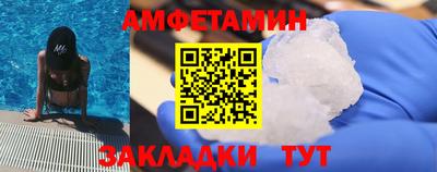 мет Кингисепп