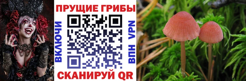 Галлюциногенные грибы GOLDEN TEACHER  купить наркотики сайты  Лабытнанги 