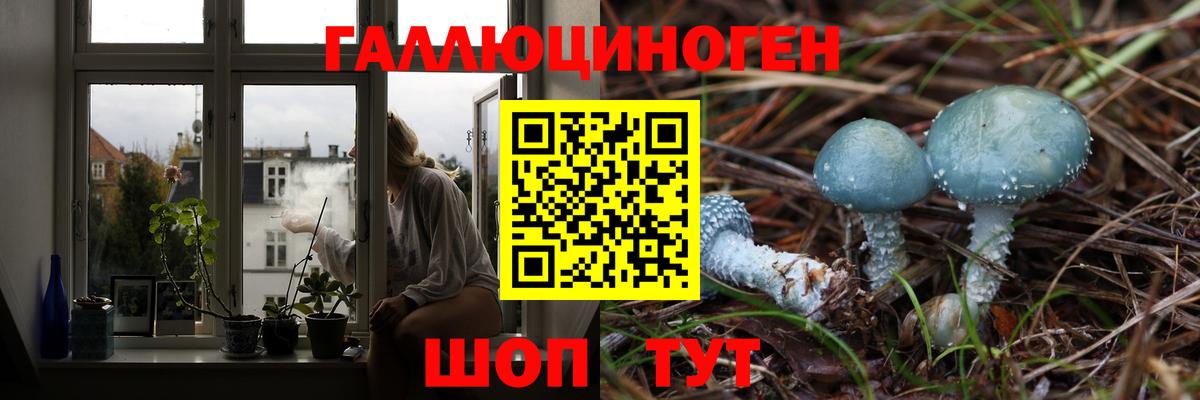 Псилоцибиновые грибы прущие грибы Лабытнанги