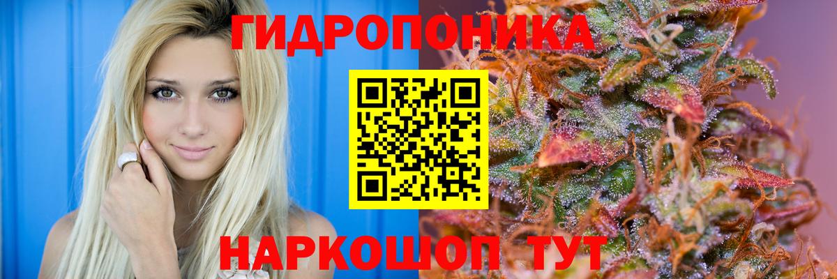 Конопля индика Лабытнанги